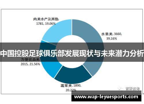 中国控股足球俱乐部发展现状与未来潜力分析