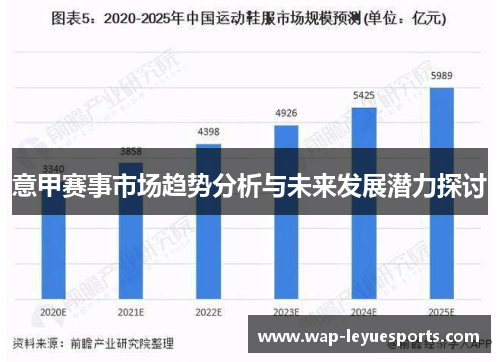 意甲赛事市场趋势分析与未来发展潜力探讨