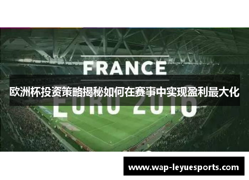 欧洲杯投资策略揭秘如何在赛事中实现盈利最大化