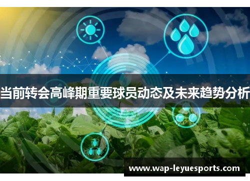 当前转会高峰期重要球员动态及未来趋势分析