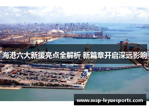 海港六大新援亮点全解析 新篇章开启深远影响