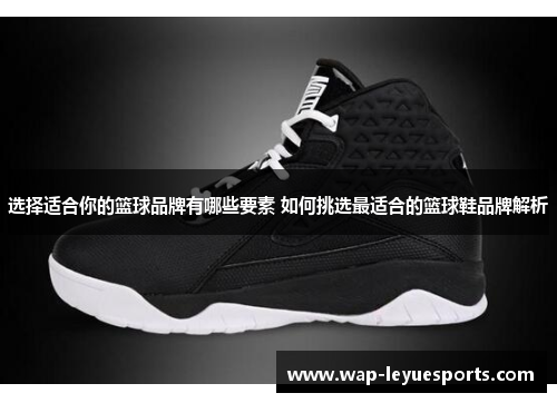 选择适合你的篮球品牌有哪些要素 如何挑选最适合的篮球鞋品牌解析
