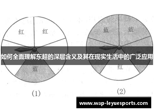 如何全面理解东超的深层含义及其在现实生活中的广泛应用